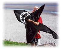 Shark Kite