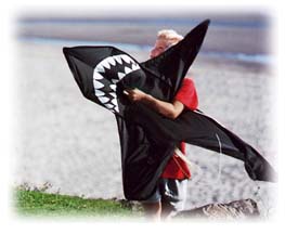 Shark Kite