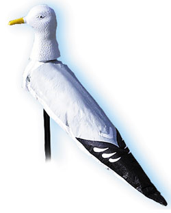Seagull Decoy