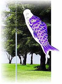 59 inch purple Koinobori  is flown from the Sockmate Pole.